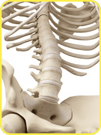 Bone Health